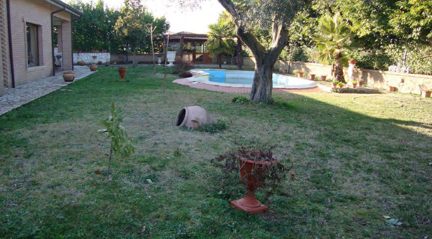 Foto annuncio 5