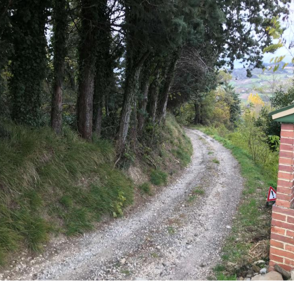Foto annuncio 5