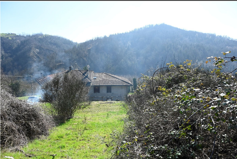 Foto annuncio 12