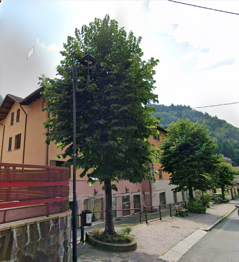 Foto annuncio 18