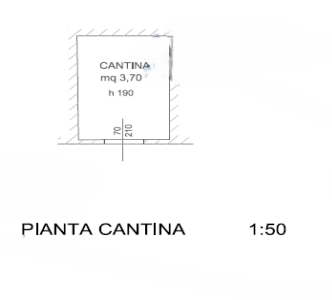 Foto annuncio 22