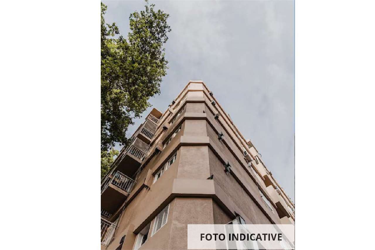 Foto annuncio 12