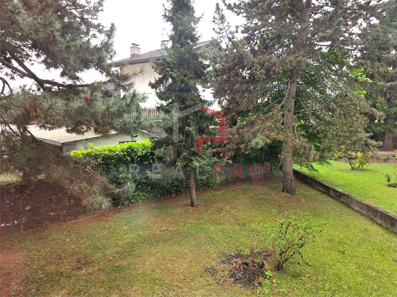 Foto annuncio 11