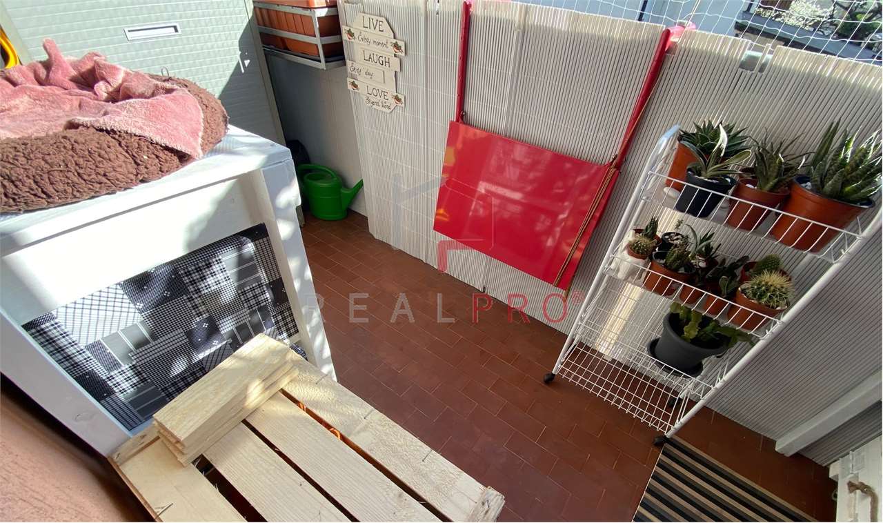 Foto annuncio 8