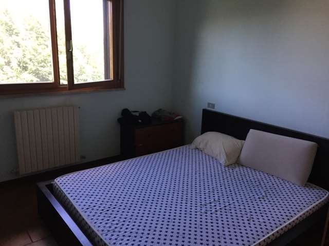 Foto annuncio 4