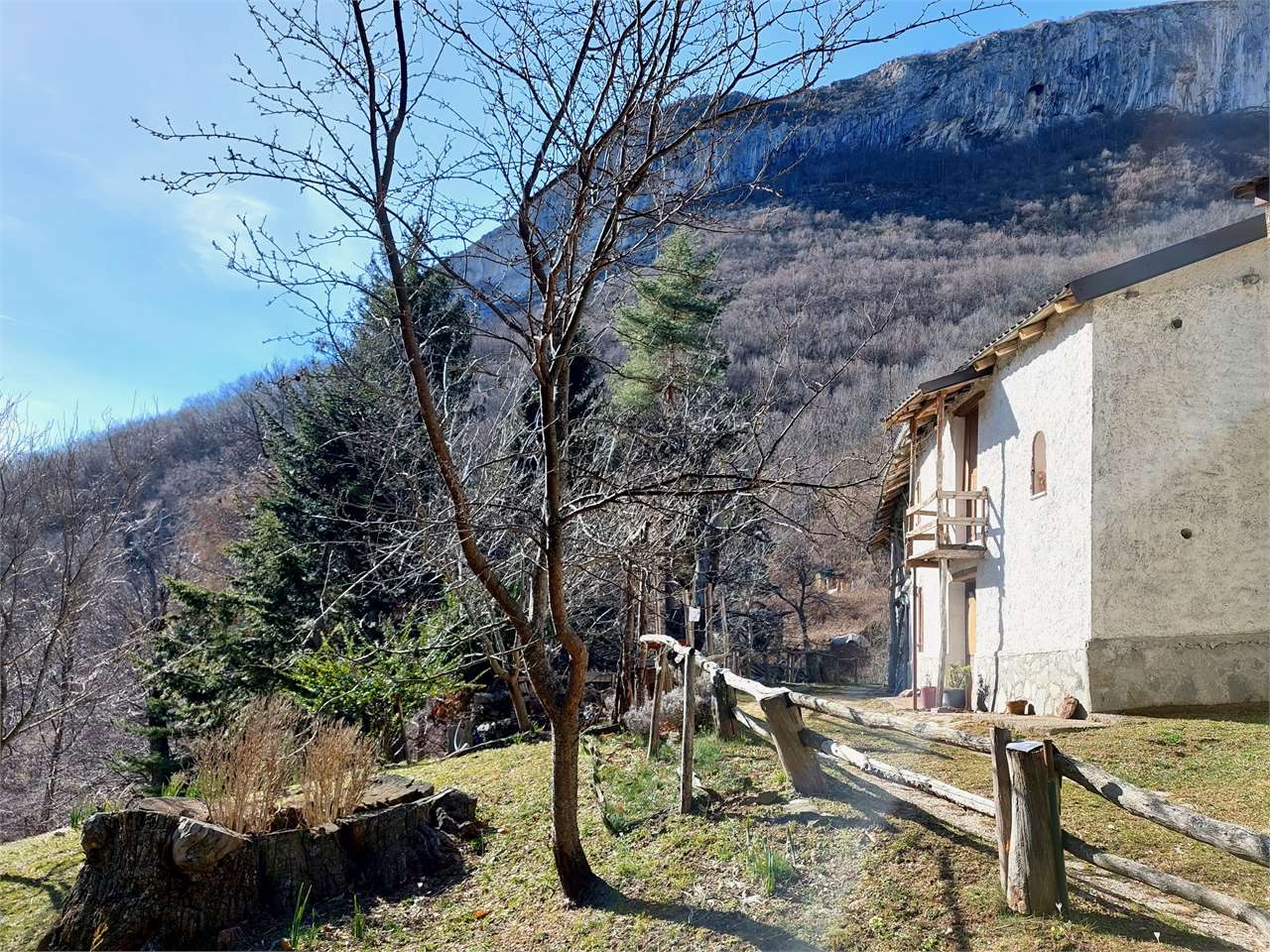 Foto annuncio 45