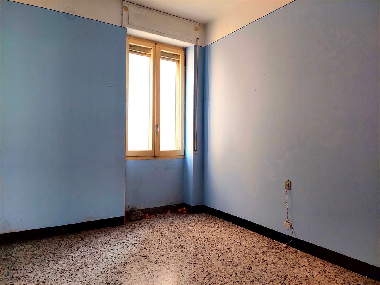 Foto annuncio 17