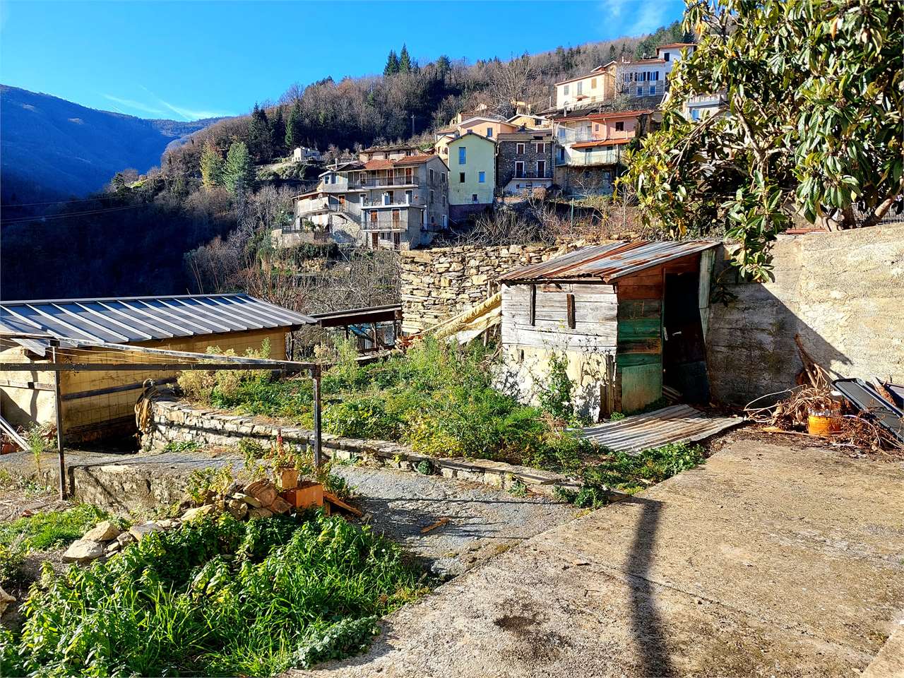 Foto annuncio 15