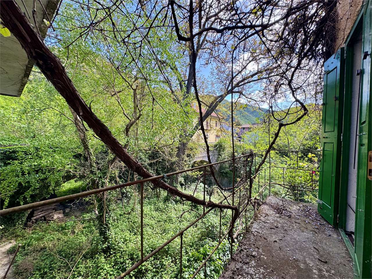 Foto annuncio 18