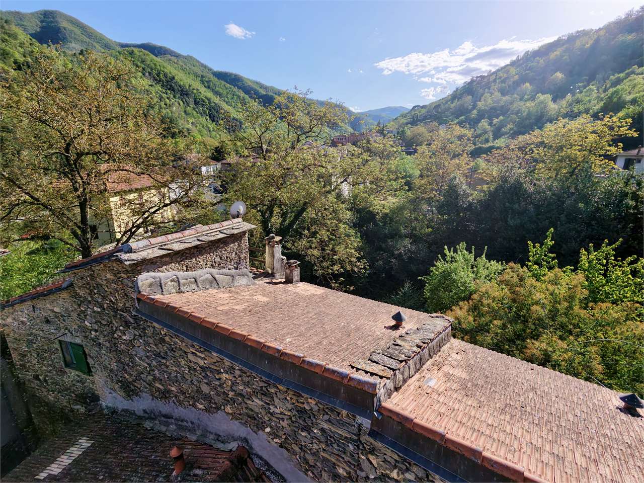 Foto annuncio 61