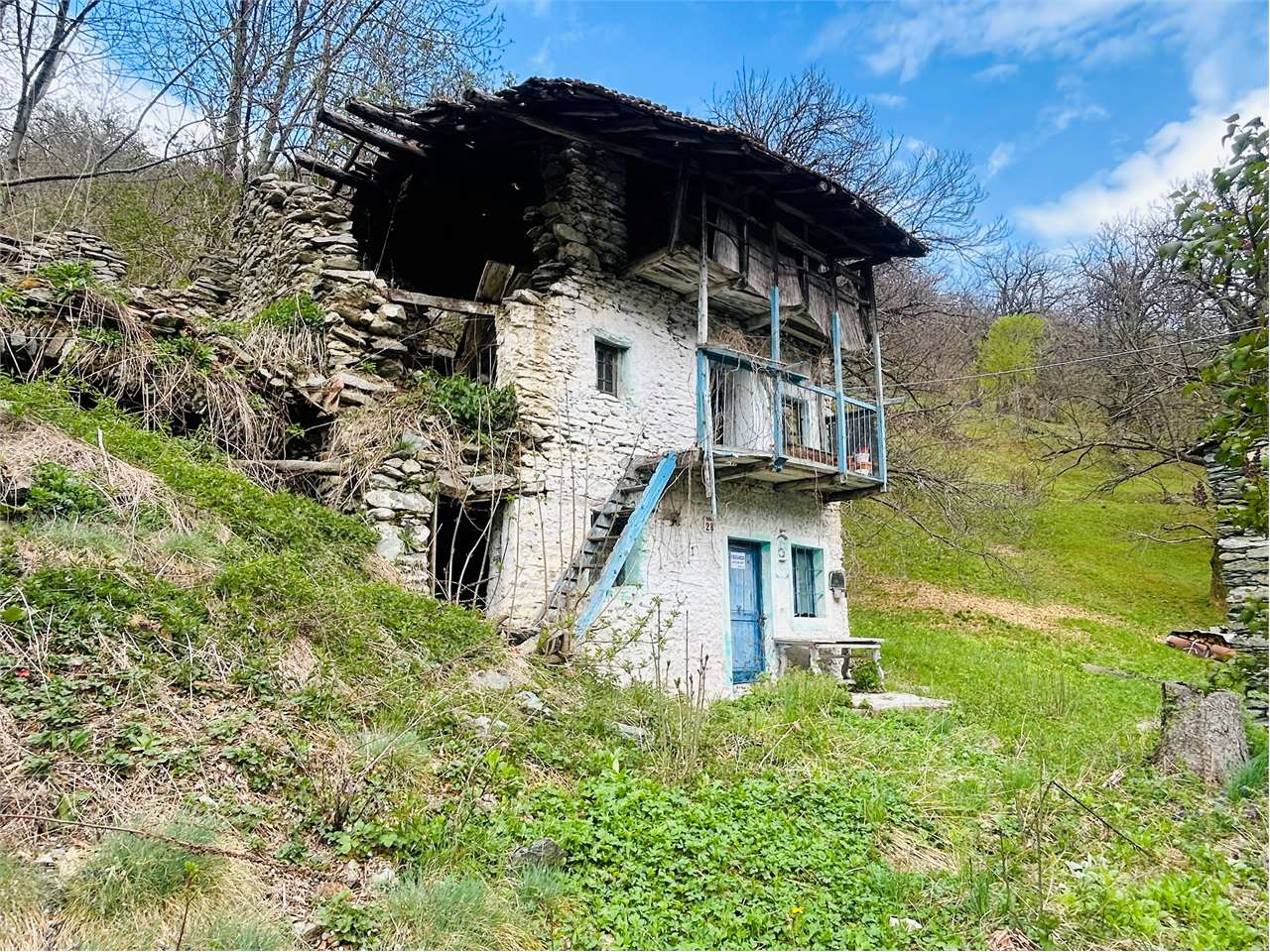 Foto annuncio 1
