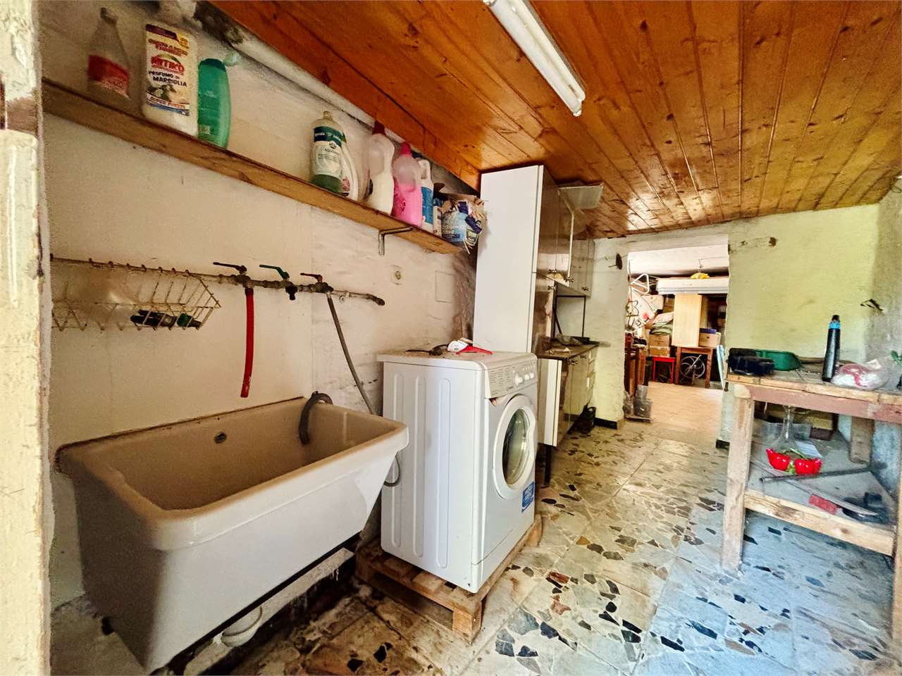Foto annuncio 50