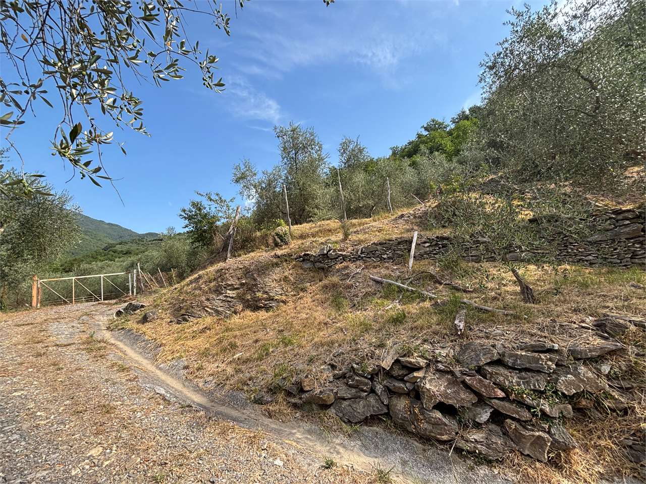 Foto annuncio 9
