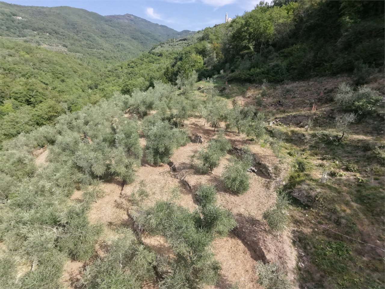 Foto annuncio 27