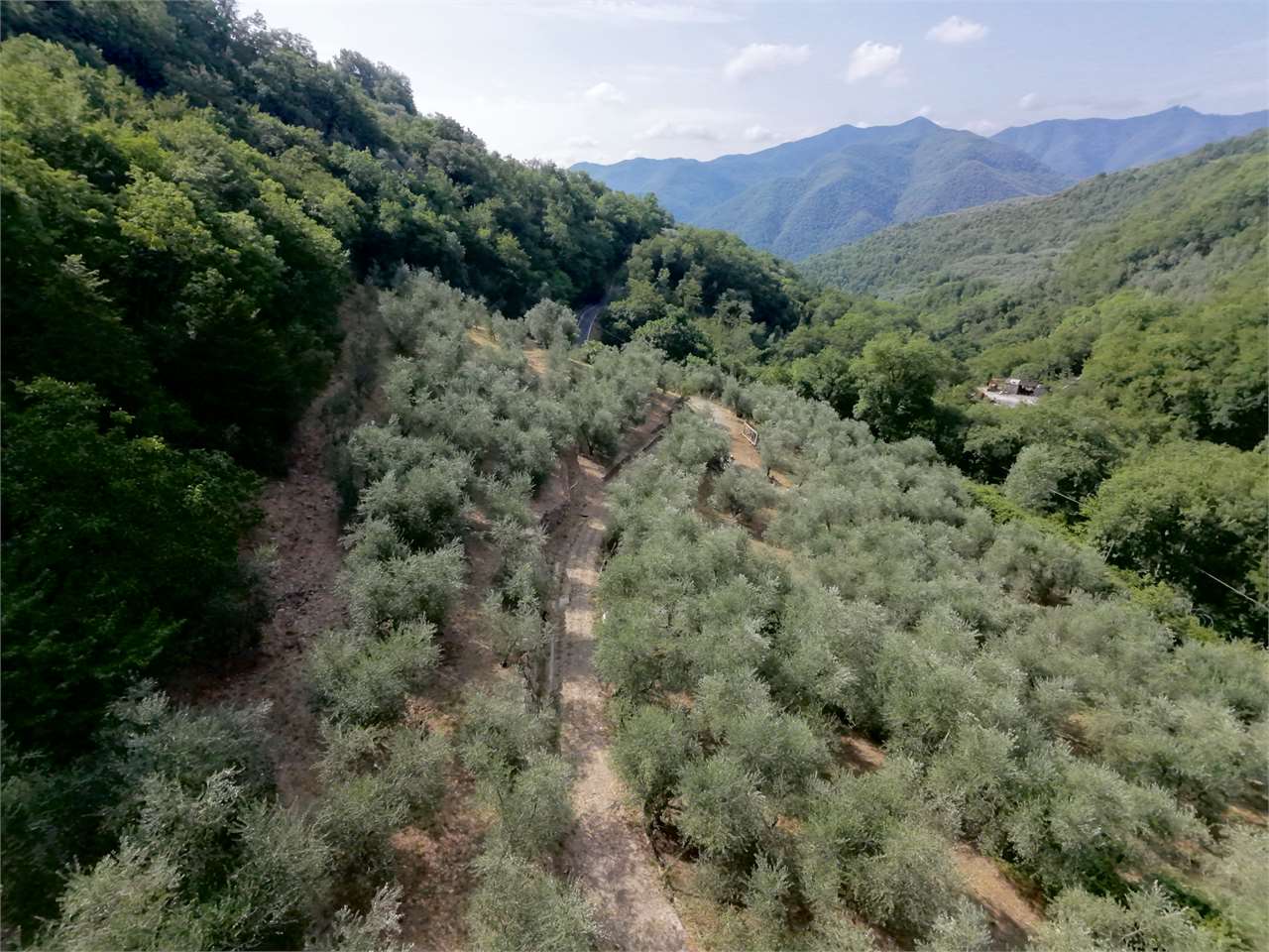 Foto annuncio 28