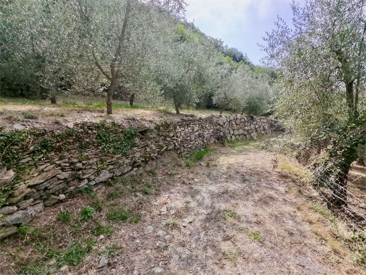 Foto annuncio 32