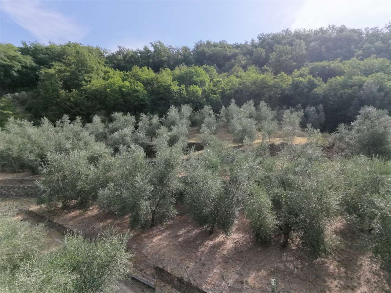 Foto annuncio 33