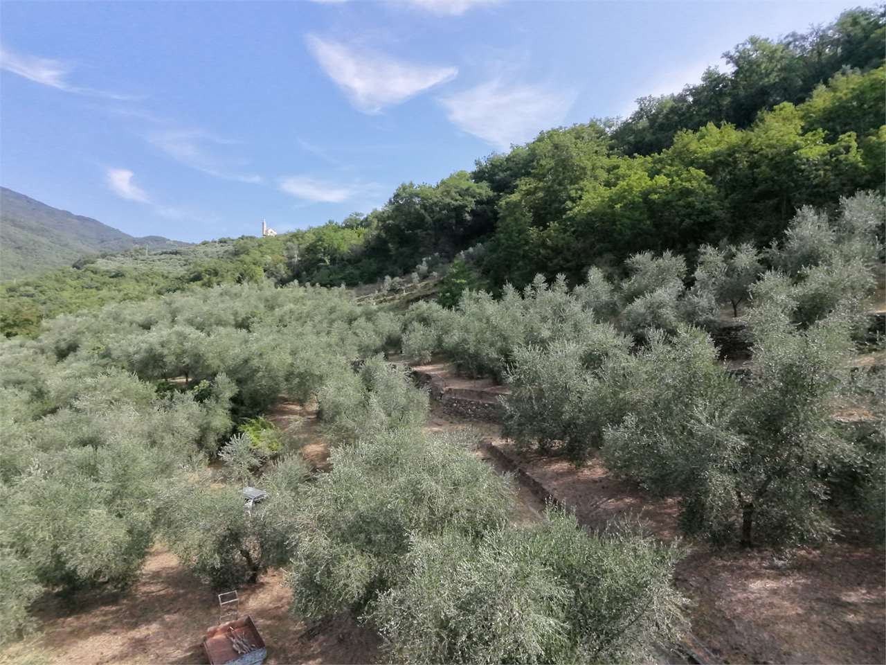 Foto annuncio 34