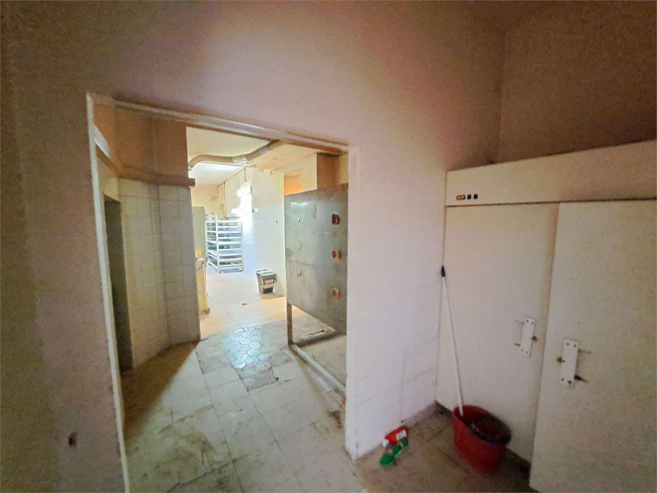 Foto annuncio 11