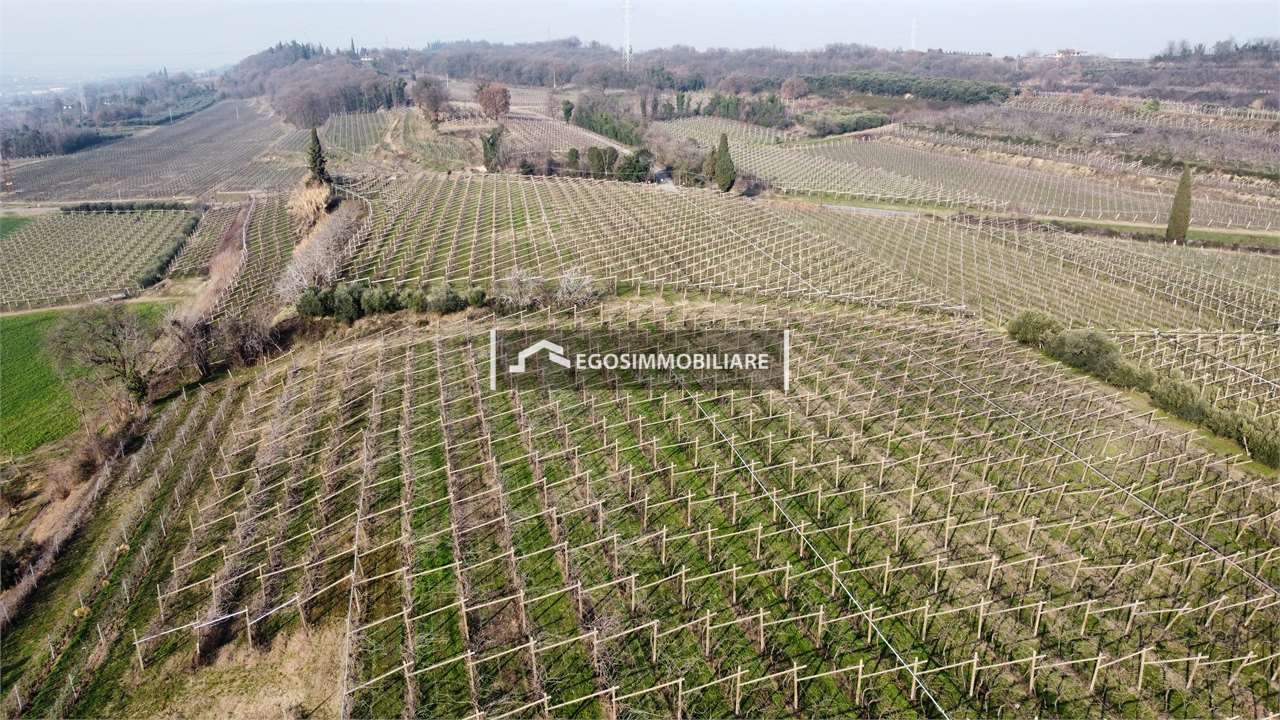 Foto annuncio 8