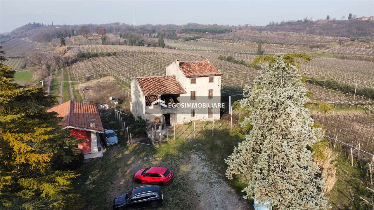 Foto annuncio 30