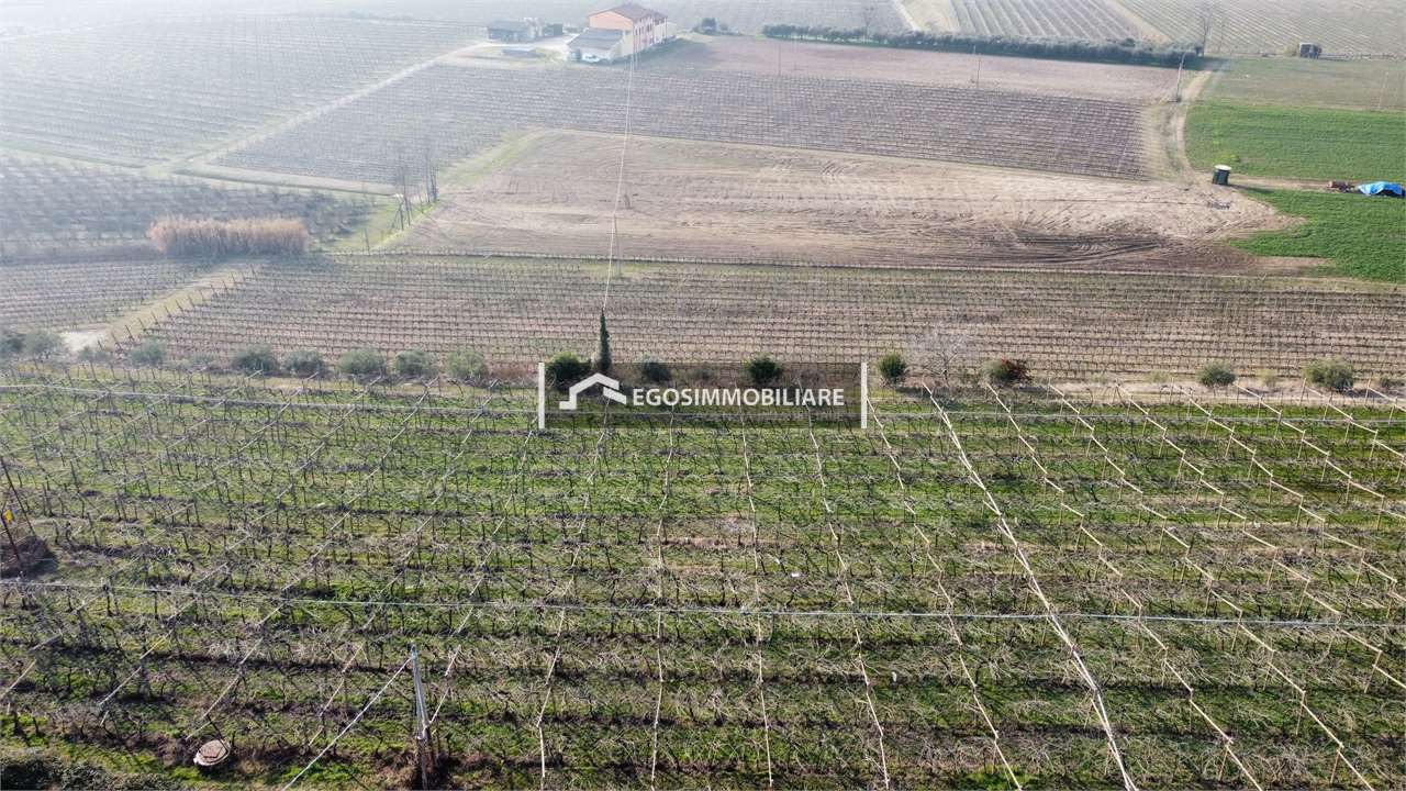 Foto annuncio 21