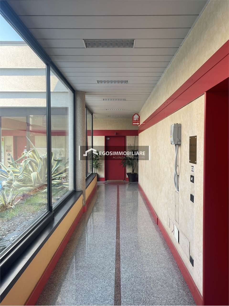 Foto annuncio 11