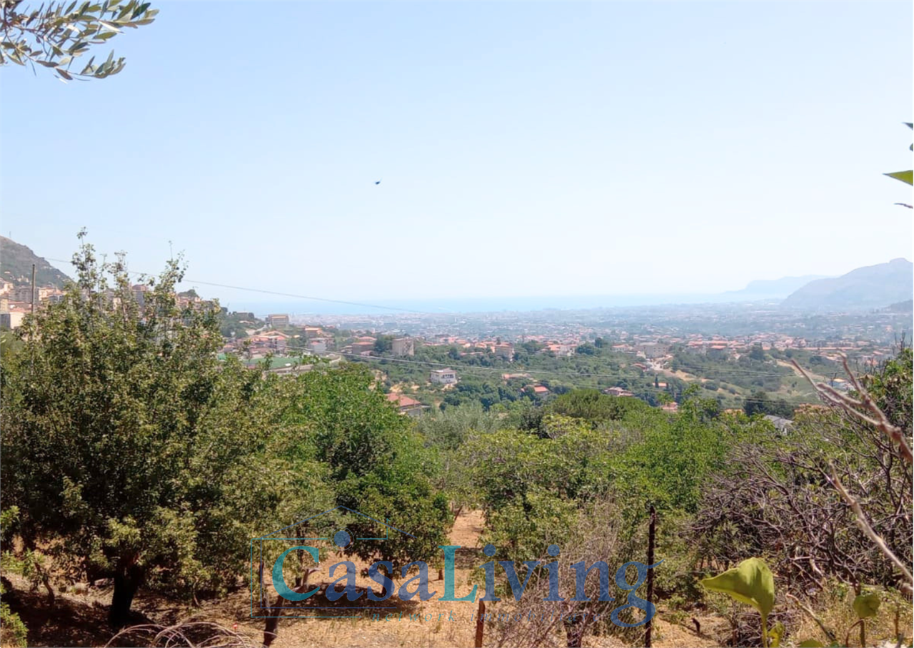 Foto annuncio 29