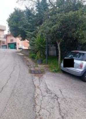 Foto annuncio 12