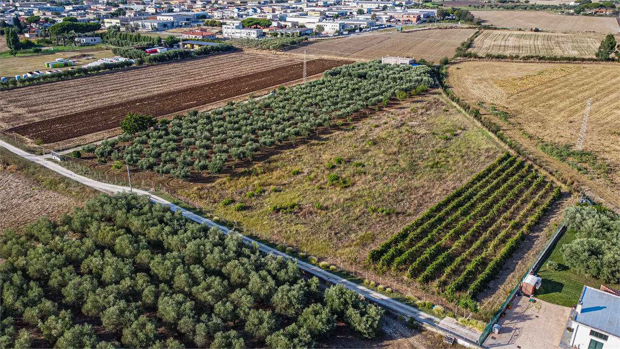 Foto annuncio 13