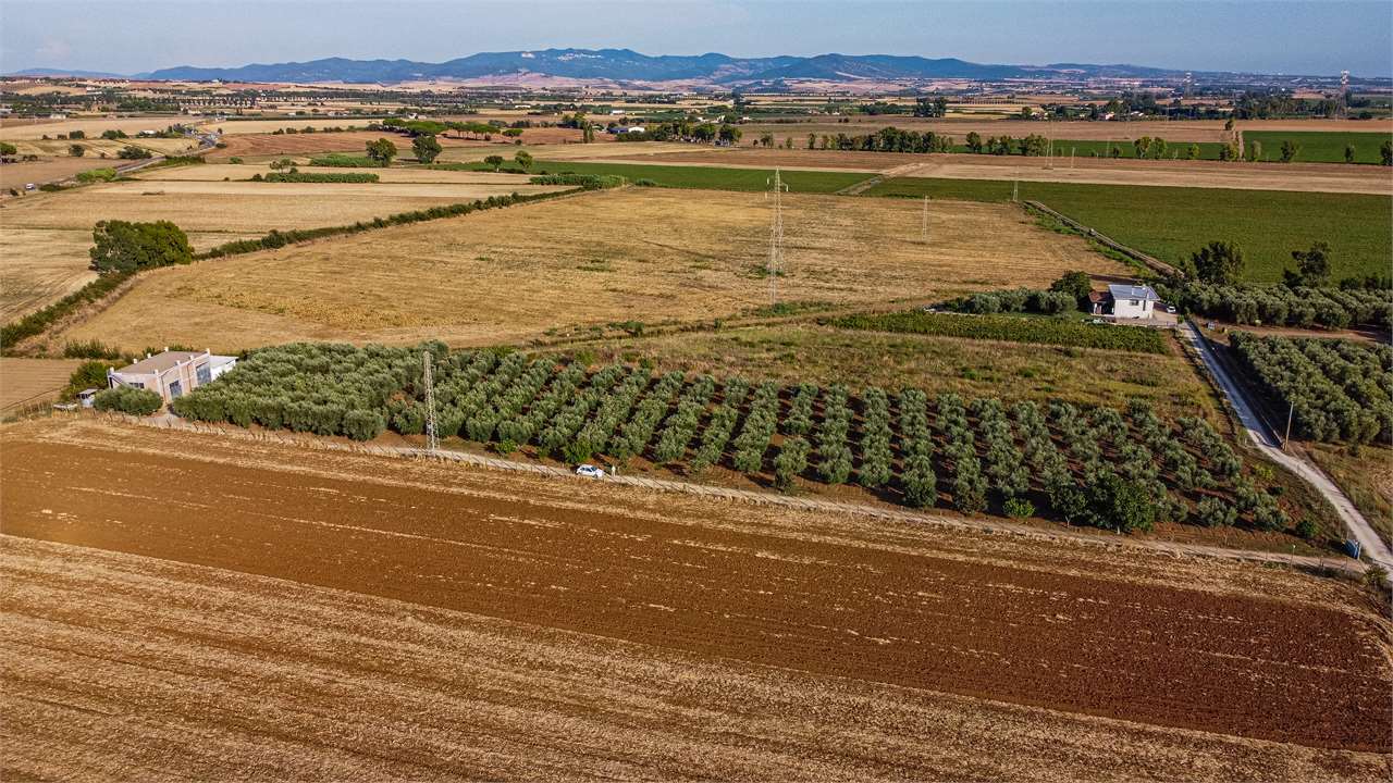 Foto annuncio 15