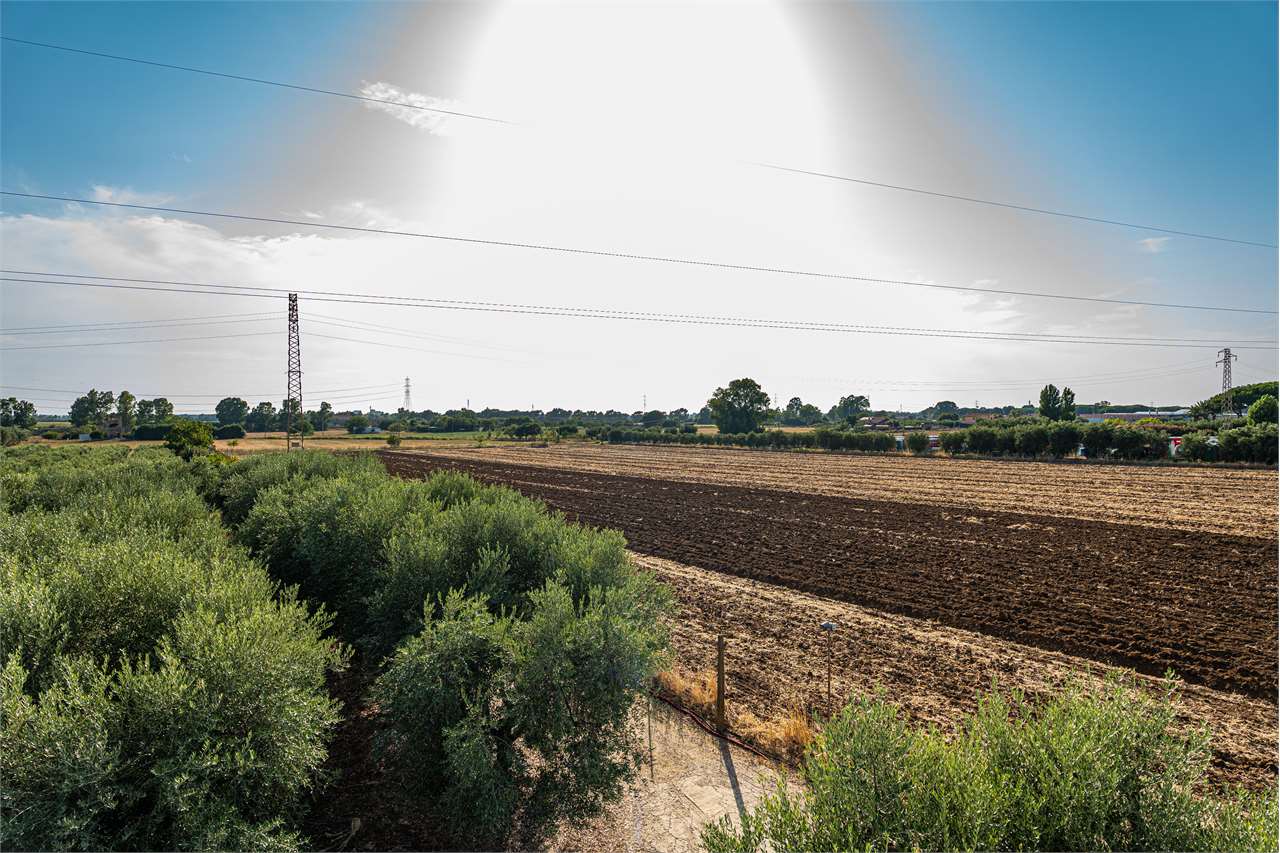 Foto annuncio 35