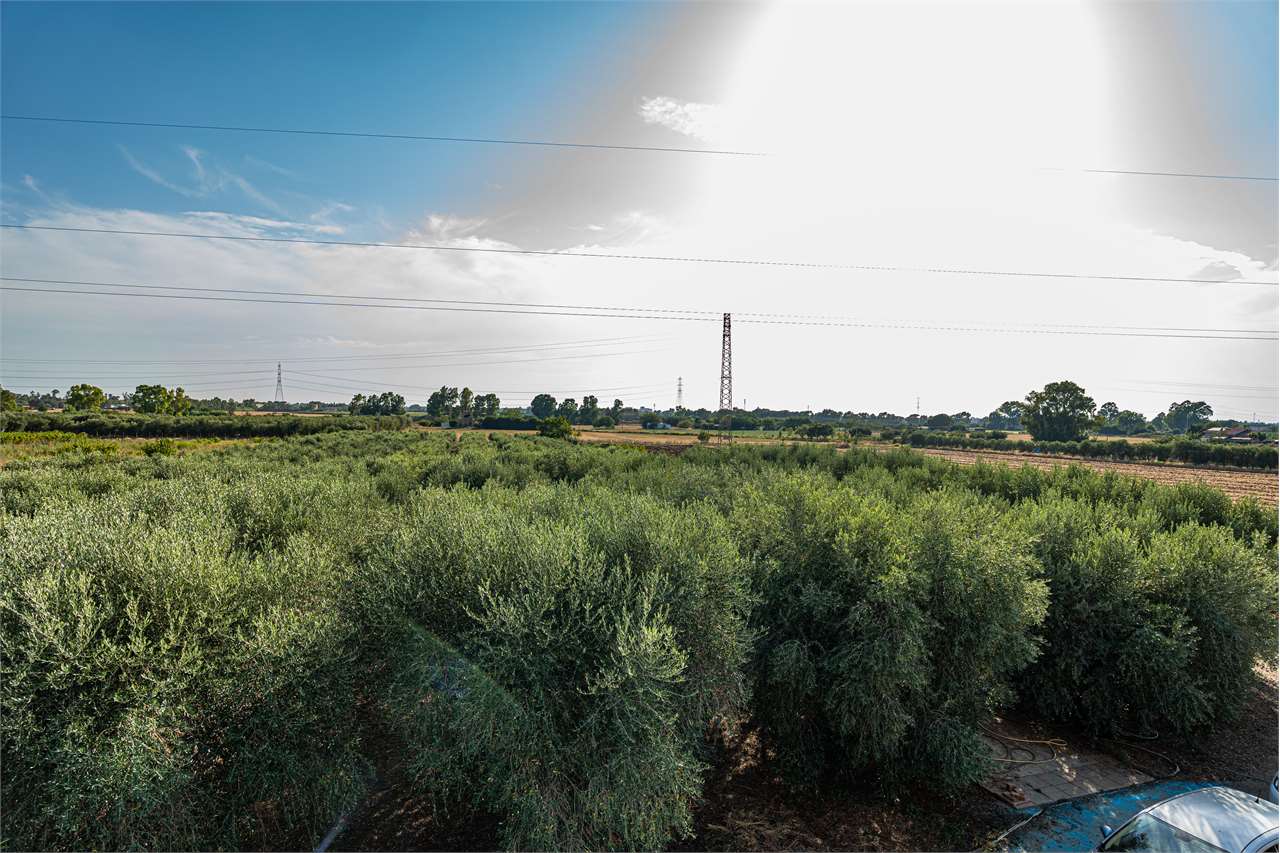 Foto annuncio 36