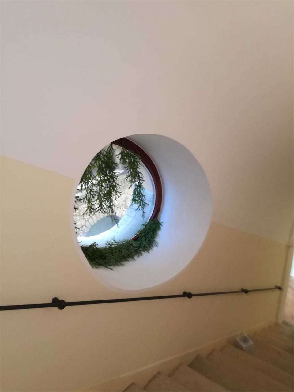 Foto annuncio 17