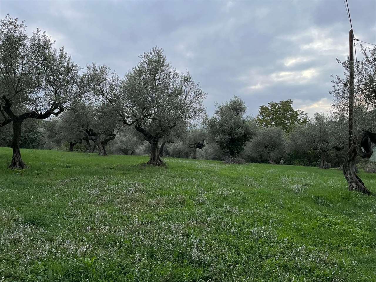 Foto annuncio 1