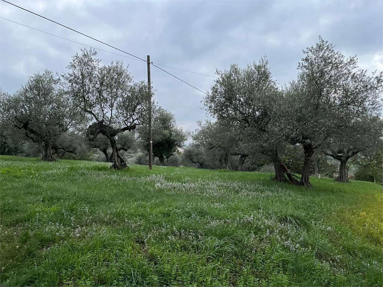 Foto annuncio 2