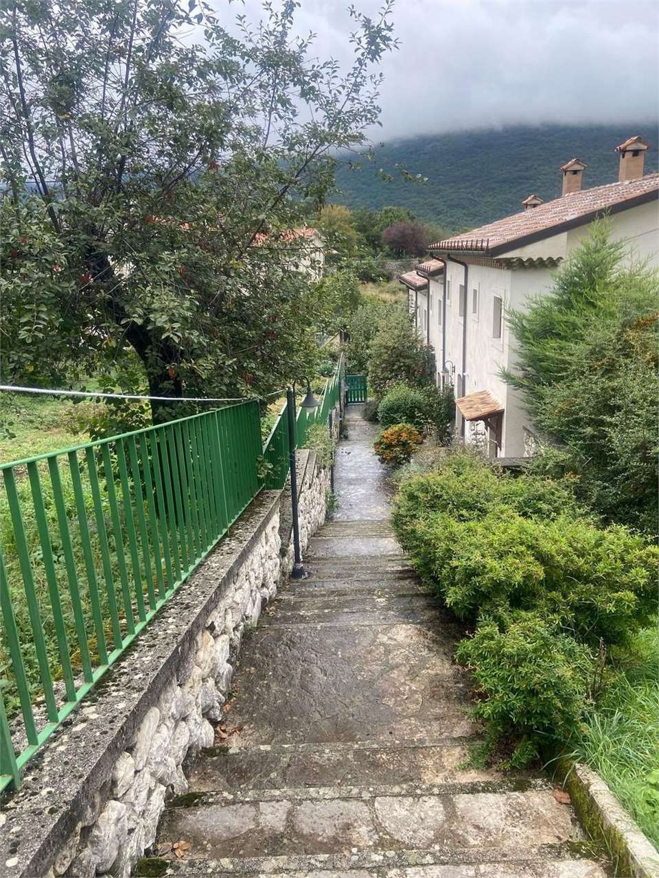 Foto annuncio 2