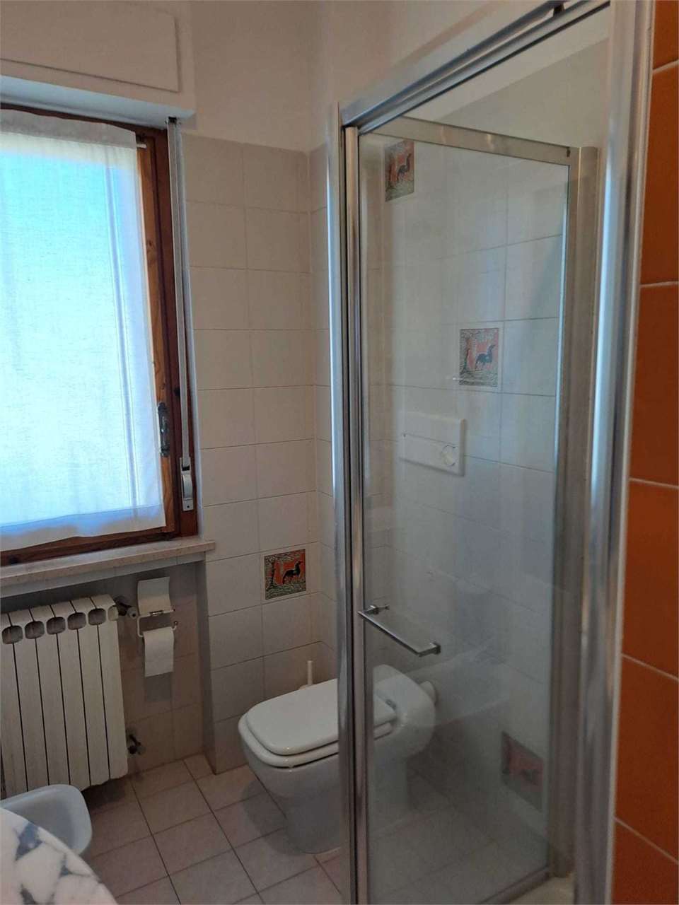 Foto annuncio 12