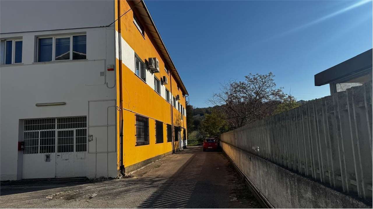 Foto annuncio 2