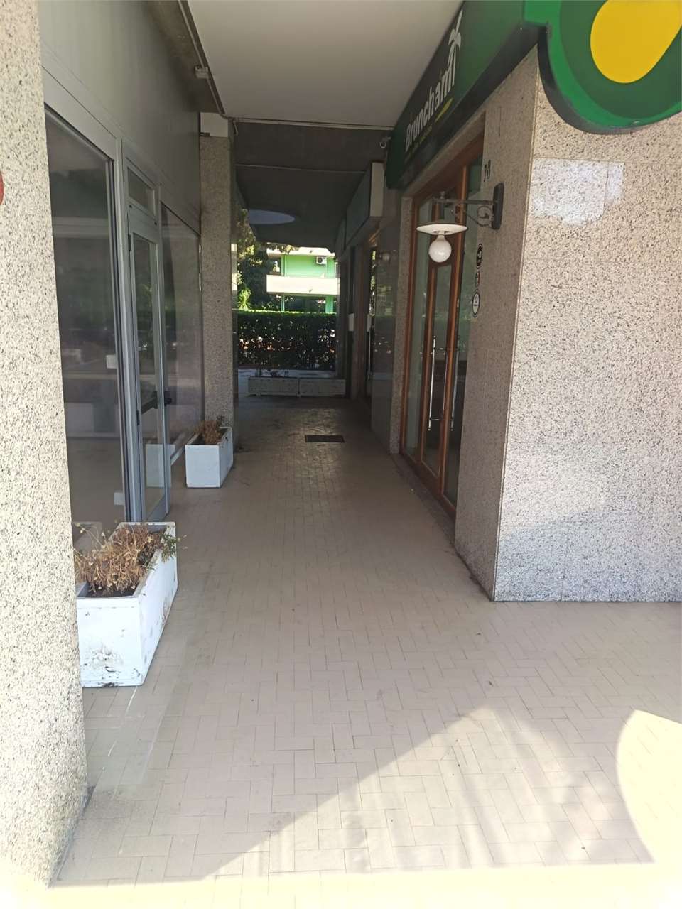 Foto annuncio 6