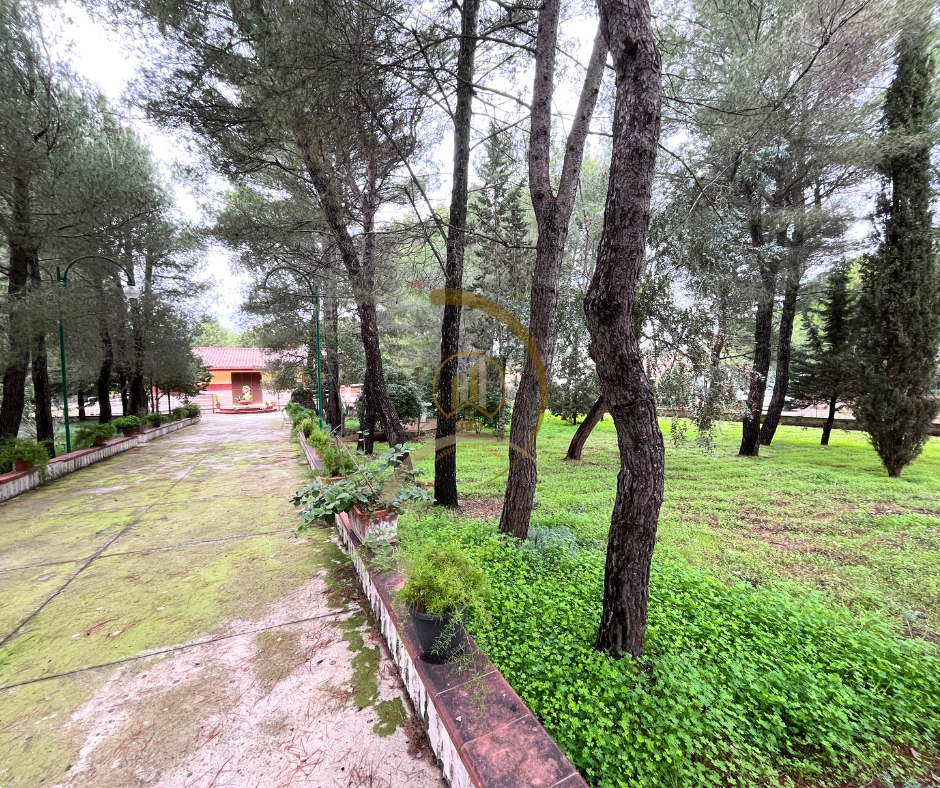 Foto annuncio 4