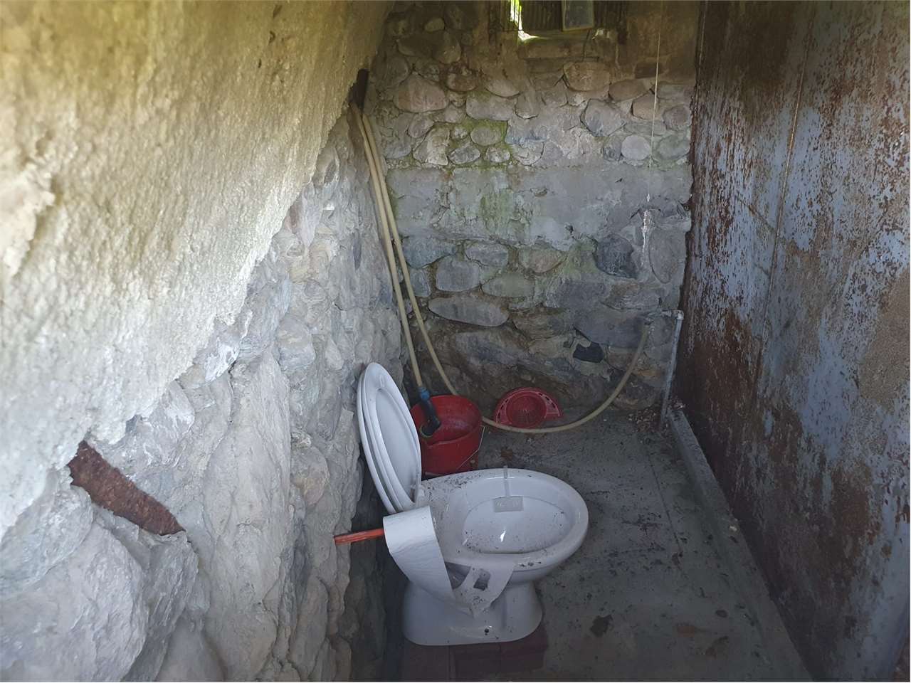 Foto annuncio 5