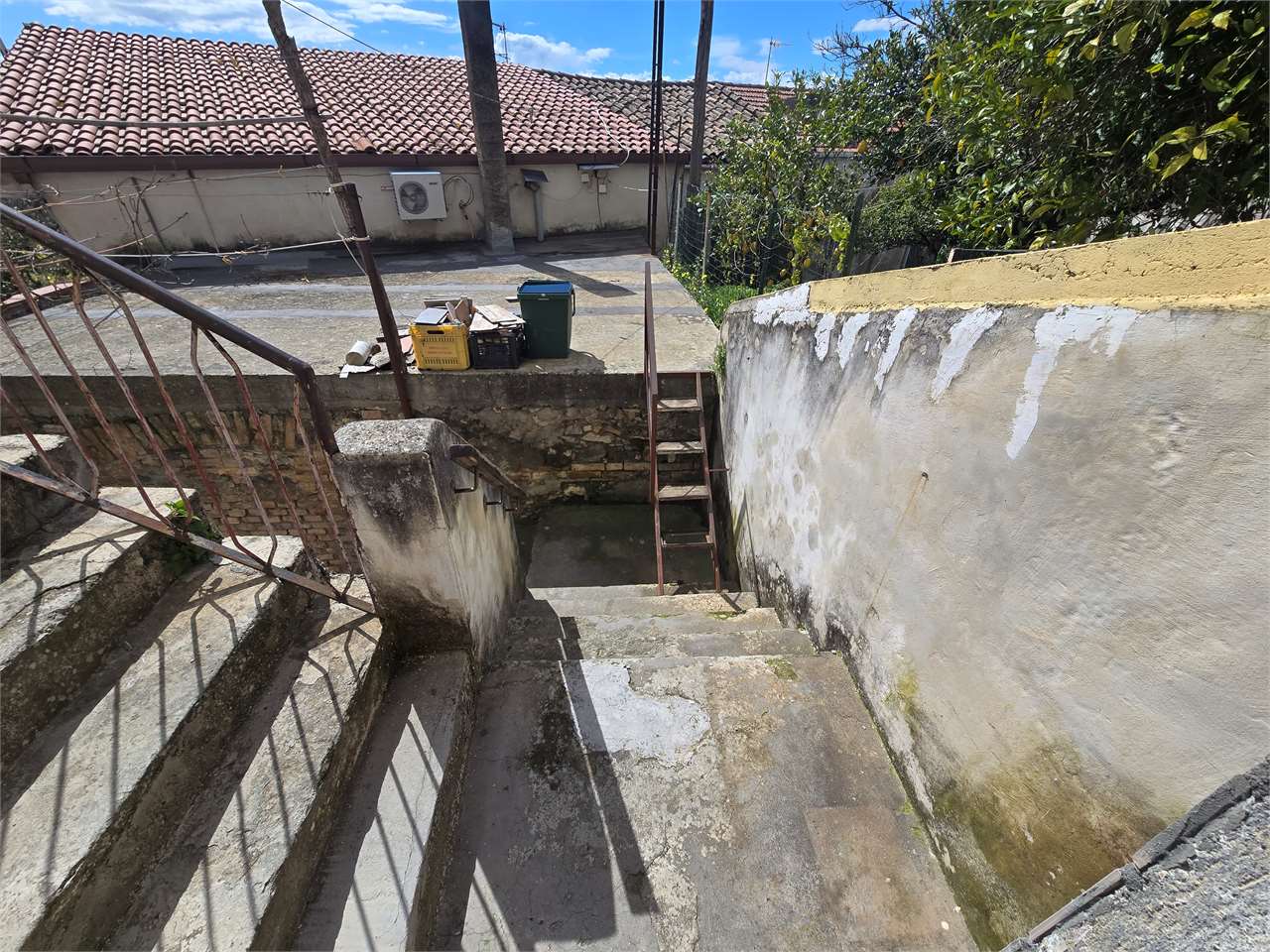 Foto annuncio 11