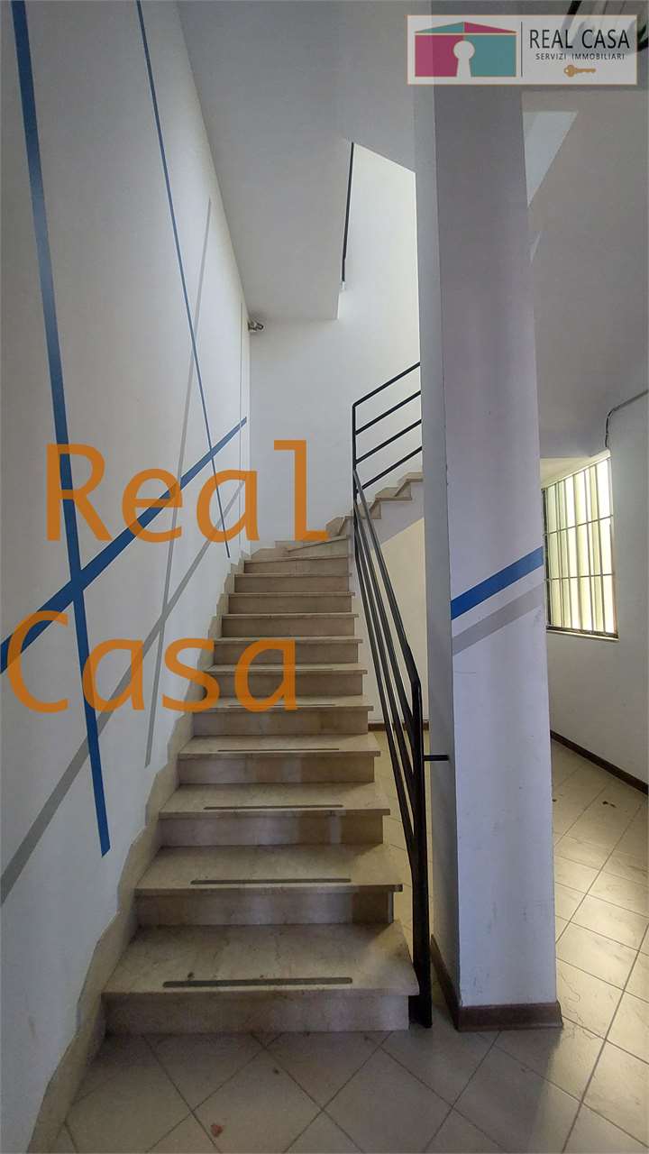 Foto annuncio 7
