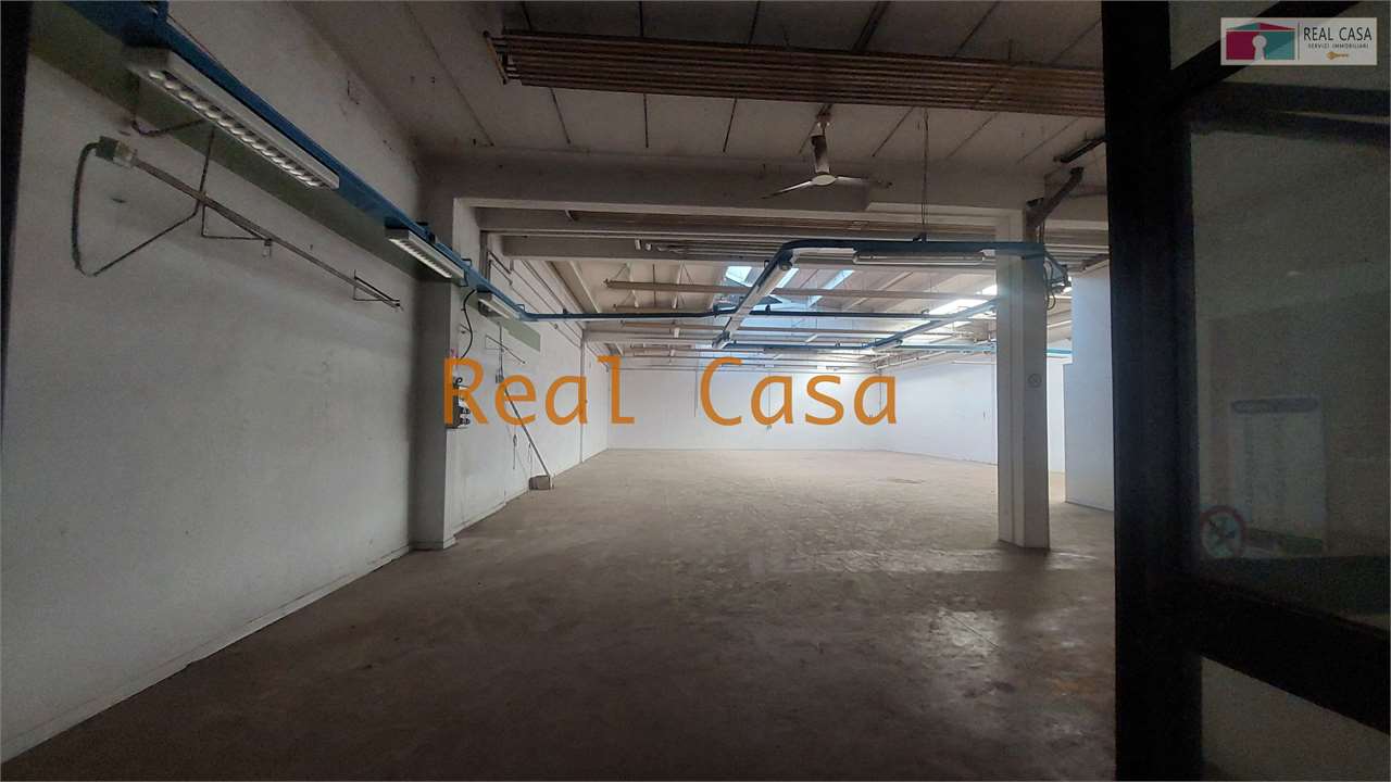 Foto annuncio 10