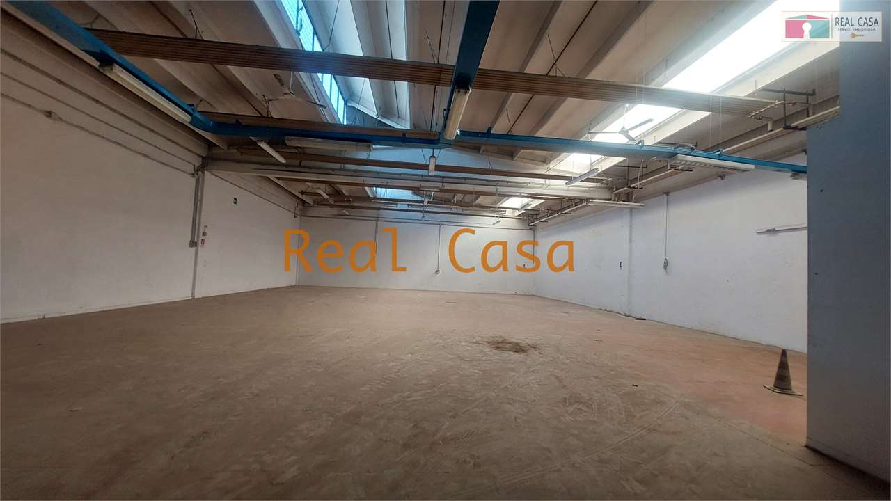 Foto annuncio 13