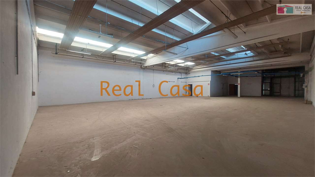 Foto annuncio 17