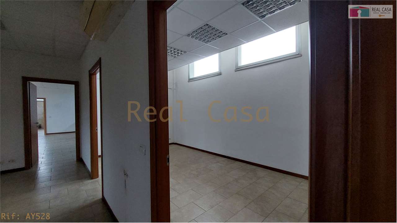Foto annuncio 11
