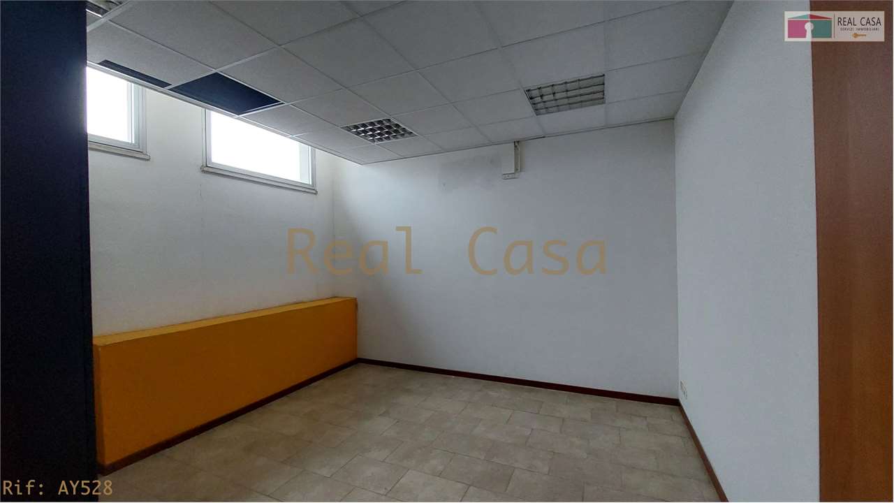 Foto annuncio 13