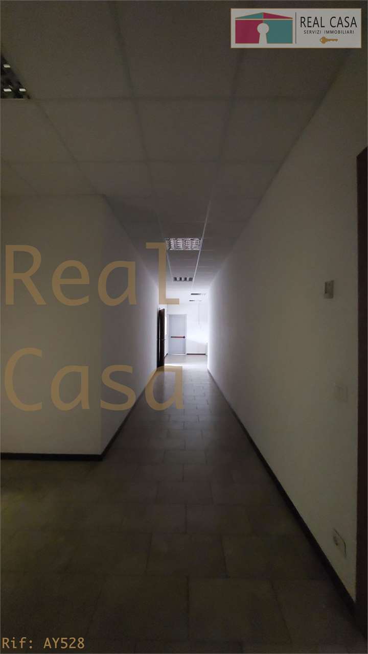 Foto annuncio 28